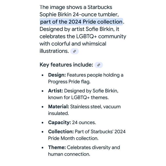 Starbucks Insulated Tumbler NEW Pride Collection by Sophia Birken 2024  Straw & - Picture 9 of 10